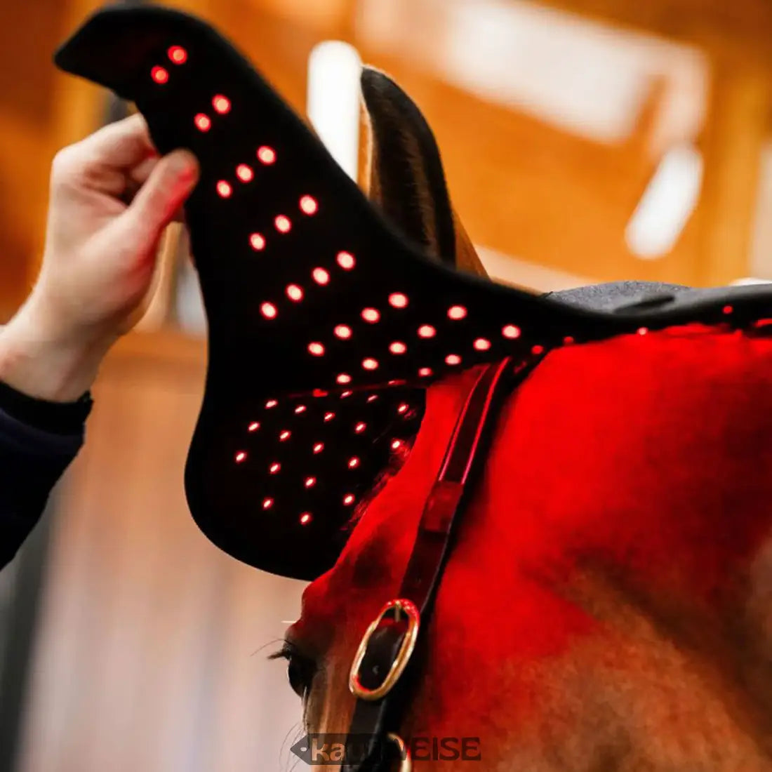 Schwarzer Horseware LED Poll Cap Genickschoner mit roten beleuchteten Punkten