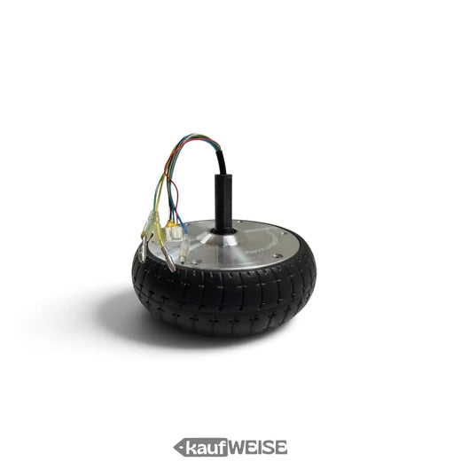 Ruota motrice hoverboard 6,5 pollici, motore nel mozzo | 36 V, 350 W | design Flower, pneumatico pieno