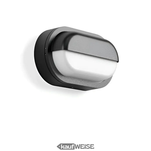 Lampada da parete e soffitto LED ovale RZB Alu-Lux | 582065.0031.1