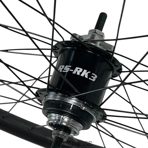 Cambio al mozzo a 3 velocità Sturmey-Archer RS-RK3 con attacco a disco